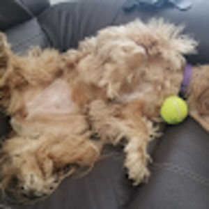 Meet your Posher, Sandra